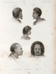 Mammifères: 1. 2. Naturels de la  Nouv-zélande; 3. Jeune file du Méme lieu; 4. Naturels de Tonga.