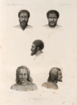 Mammifères: 1. 2. 3. Naturels des iles Viti. (Race Noire), 4. 5. Naturels des Tikopia. (Race Jaune).