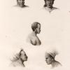 Mammifères: 1. Monde chef de Manévé; 2. Chef de Vanikoro; 3. Chef de Vanou; 4. Védéveré fils d'un chef de Nama; 5. Femme de Pouka, Chef de Manévé.
