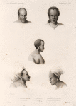 Mammifères: 1. Monde chef de Manévé; 2. Chef de Vanikoro; 3. Chef de Vanou; 4. Védéveré fils d'un chef de Nama; 5. Femme de Pouka, Chef de Manévé.