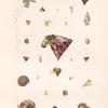 Mollusques: 1. Troque nilotique; 2.- 4. Troque pagode avec son anatomie; 5.- 7. Troque nain; 8.- 11. Troque jaune avec son anatomie; 12.- 14. Troque palati; 15.- 19. Troque dorg trois variétéd; 20.- 22. Cadran strié; 23. 24. Cadran bigarre; 25. 26. Cadran tacheté; 27. 28. Dauphinale lacinicé.