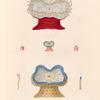 Zoophytes: 1. 1a.  Actinie, Magnifique. N.; 2. 2a. Actinie, Azur. N.;  3. Actinie. Verdâtre. N.; 4. 4a. Actinie à Globules. N..