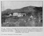 Ambaca. Facenda Probidade da firma A. F. Sancas & Ca. Canna saccharina e borracha. -- Plantation Probidade of the firm A. F. Sancas & Co. Sugar-cane and rubber. -- Plantage Probidade der Firma A. F. Sancas & Co. Zuckerrohr und Gummi.