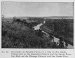 Um trecho da Facenda Palmyra e vista do Rio Dande. -- Partial view of the plantation Palmyra and the Dande River. -- Ein Blick auf die Plantage Palmyra und den Dande-Fluss.