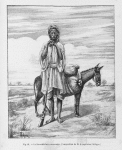 Le Sarrakholais caravanier.