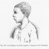 Indigène de Porto Seguro [Agbodrafo].