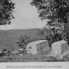 Private graveyards are to be found all over Jamaica.