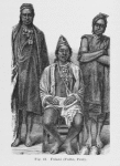 Fulani (Fulbe, Peul).