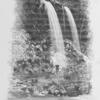 A waterfall in the valley of the Niger's source.
