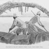 The Bosos in the bow abruptly ceased plying their bamboo poles.