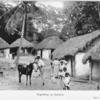 Negerdorp op Jamaïca.
