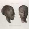 Thèbes. Hypogées. Profil et face d'une tête de momie d'homme.