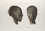 Thèbes. Hypogées. Profil et face d'une tête de momie d'homme.