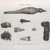 Thèbes. Hypogées. Momies et détails de crocodile, de serpent et de chien.