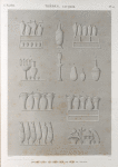 Thèbes. Louqsor [Luxor]. Divers vases sculptés sur les murs du palais.