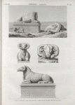 Thèbes. Karnak. Vue et détails des Béliers de l'Avenue du Grand Temple du sud.