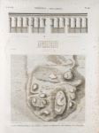 Thèbes. Med-A'moud [Medamud]. 1.  Plan topographique des ruines; 2.3. Plan et élévation des restes d'un portique.