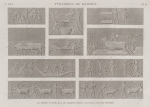 Pyramides de Memphis. Bas-reliefs sculptés dans les tombeaux situés à l'est de la seconde pyramide.