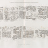 Papyrus, hiéroglyphes, inscriptions et médailles. Manuscrit sur papyrus.