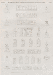 Papyrus, hiéroglyphes, inscriptions et médailles. Inscriptions hiéroglyphiques et coiffures copiées à Denderah [Dandara].