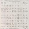 Papyrus, hiéroglyphes, inscriptions et médailles. Médailles des nomes d'Égypte.