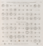 Papyrus, hiéroglyphes, inscriptions et médailles. Médailles des nomes d'Égypte.