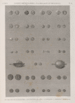 Papyrus, hiéroglyphes, inscriptions et médailles. 1. Méd[ailles] trouvée à Tyr; 3. M[édailles] d'Alexandre; 4.18.21. des Ptolémées; 19. de Cyrène; 2.5.17.24.25. M[édailles] Greques; 20.22.23. M[édailles] Romaines; 26.27. Tortue en or.