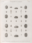 Collection d'antiques. Amulettes en forme de scarabées et diverses figures en terre cuite, en argent, en hématite et autres pierres dures.