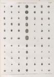 Collection d'antiques. 1-3.10-14.17-27.29-34.36-39.41-50.53-59.62-77. Amulettes en forme de scarabée, en terre cuite et en porcelaine; 4-9.15.16.28.35.40.51.52.60.61. Autres amulettes.