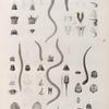 Zoologie. Annélides. Léodices, Aglaures, Oenones, Bdelles, Planaires.