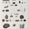Zoologie. Zoophytes. Éponges charnues, Éponges à piquans.