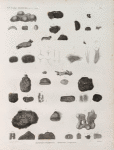 Zoologie. Zoophytes. Éponges charnues, Éponges à piquans.
