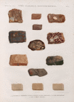 Minéralogie. Gebel Selseleh etc., Montagne Rouge etc. 1-4. Pouddingue memnonien; 5. Caillou d'Égypte; 6.8.9. Grès ferrugineux; 7.10-12. Grès monumental; 13. Grès à ciment siliceux.