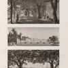 Environs du Kaire [Cairo]. 1. Vue de petit bras du Nil vis-à-vis de l'île de Roudah [el-Rôda]; 2. Vue de l'Allée des Sycomores dans l'île de Roudah [el-Rôda]; 3. Vue de Jardin de Mourâd Bey à Gyzeh [Jîzah].