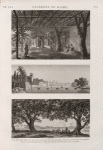 Environs du Kaire [Cairo]. 1. Vue de petit bras du Nil vis-à-vis de l'île de Roudah [el-Rôda]; 2. Vue de l'Allée des Sycomores dans l'île de Roudah [el-Rôda]; 3. Vue de Jardin de Mourâd Bey à Gyzeh [Jîzah].