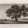 Le Kaire [Cairo]. Vue du jardin et de l'étang de Qasim Bey.