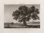 Le Kaire [Cairo]. Vue du jardin et de l'étang de Qasim Bey.