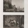 Arts et métiers. 1. La faiseuse de mottes à bruler; 2. Le chamelier.