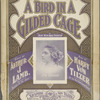 A bird in a gilded cage
