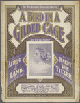 A bird in a gilded cage