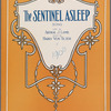 The sentinel asleep