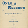 Only a rosebud