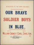 Our brave soldier boys in blue