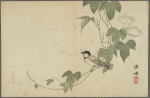 Untitled haikai anthology