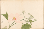 Untitled haikai anthology