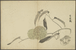 Untitled haikai anthology