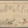 Shiohi no tsuto