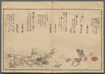 Shiohi no tsuto