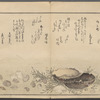 Shiohi no tsuto