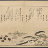 Shiohi no tsuto
